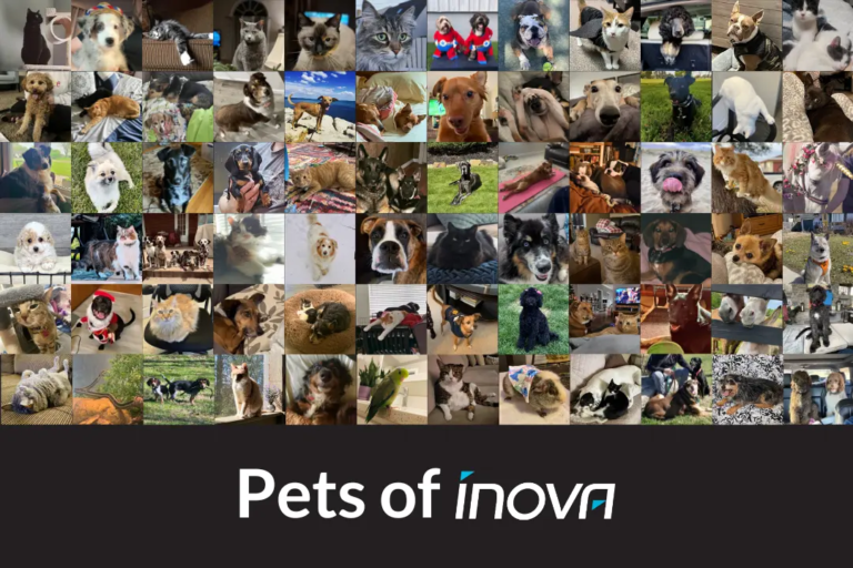 collage of Inova pets for national pet day post on 4 Leadership Lessons We Can Learn from our Pets