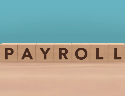 Best Budget-Friendly Payroll Software Options for Small Businesses