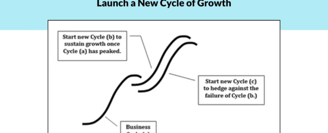 Diagram from Farsheed Ferdowsi’s 2025 IPPA keynote illustrating how launching new business cycles can prevent decline and sustain growth.